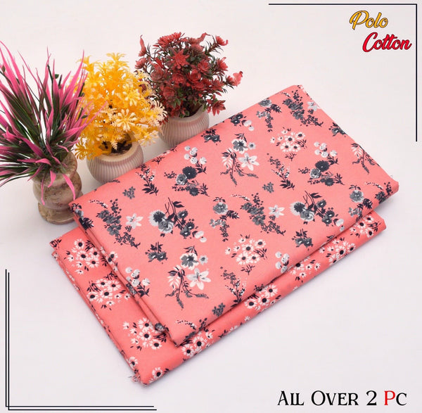 Cambric cotton By Riwaj 2pc D#624